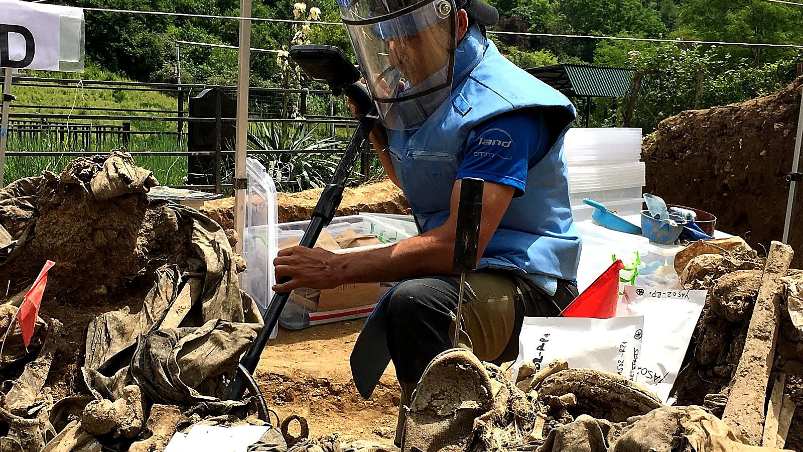 Advisory and consultancy services